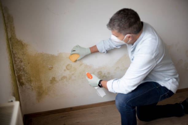 Best Dehumidification Services  in Winfield, KS